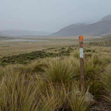 Ausblick und Abstieg ins Tal des Mavora Lake Walkways