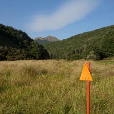 Sumpfiges Gelände hinter der Kiwi Burn Hut