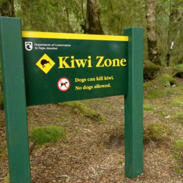 Hunde sind zum Schutz der Kiwis auf vielen Tracks nicht erlaubt