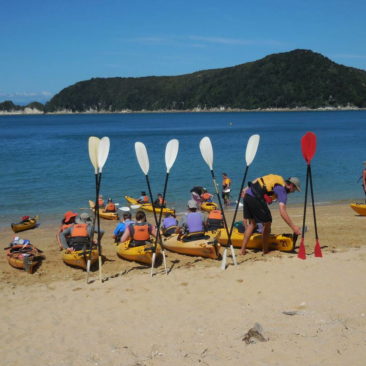 Im Abel Tasman Nationalpark sind auch viele geführte Touren unterwegs