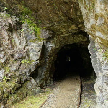 Einer von mehreren Tunneln entlang des Charming Creek Walkway