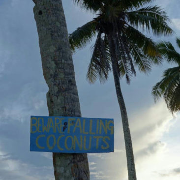 Wichtiger Hinweis, denn herunterfallende Kokosnüsse töten erstaunlich viele Menschen