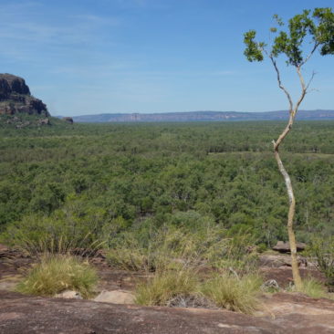 Ausblick auf die Weite des Kakadu Nationalparks und Nourlangie Rock