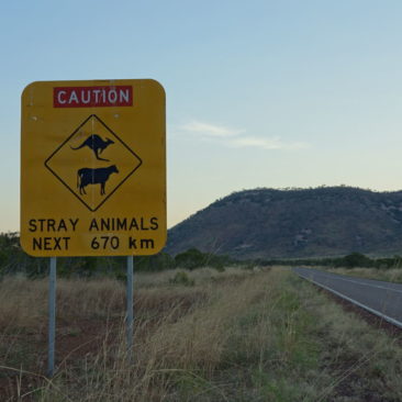 Aus der Kategorie "In Europa undenkbare Schilder": Aufpassen auf streunende Tiere für 670 km