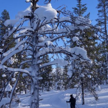 Winterskulptur und Winterwanderer